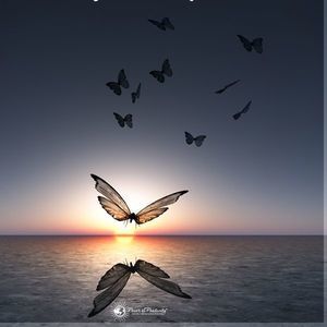 Meet your Posher, Ingrid